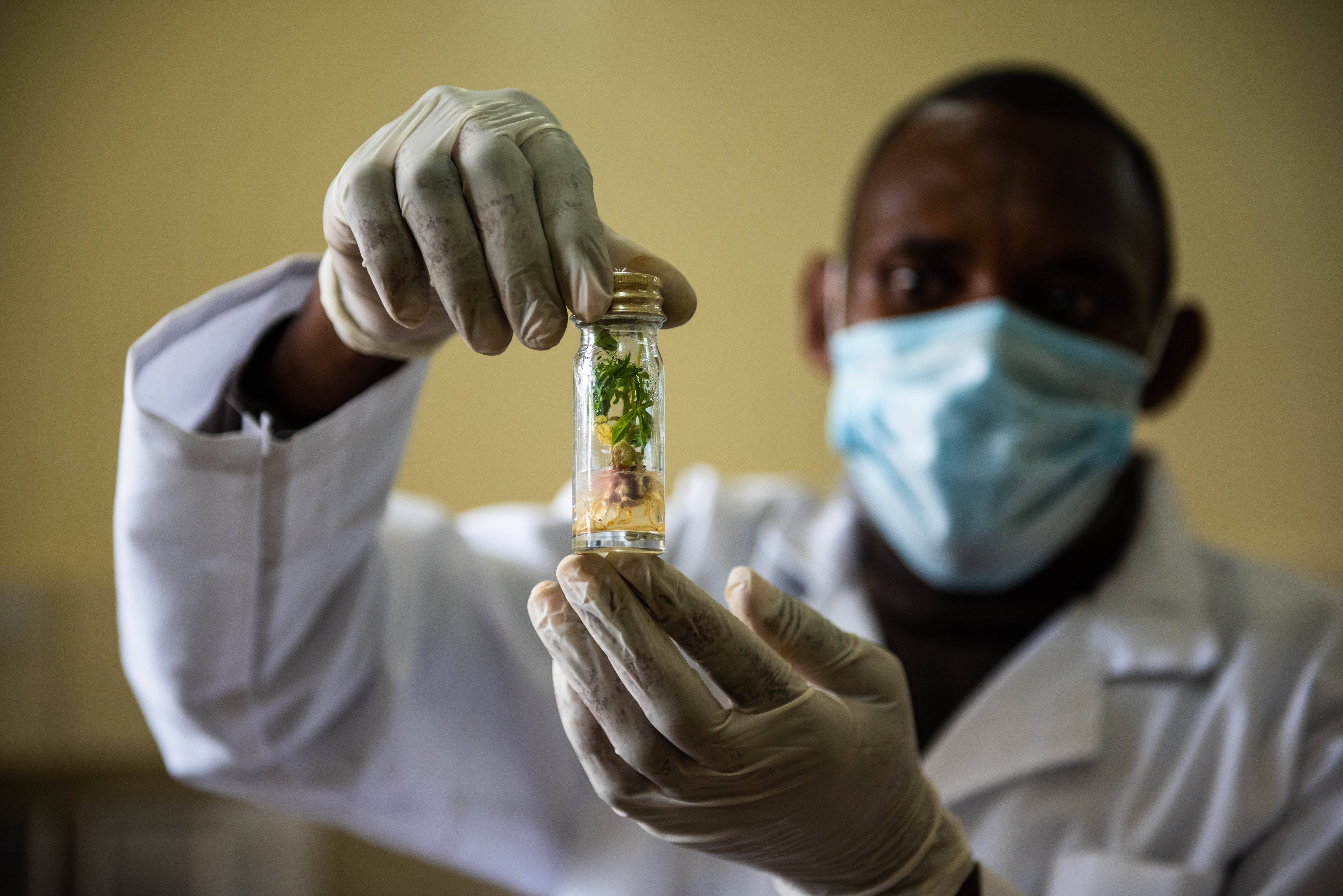 Graduate Research Grants